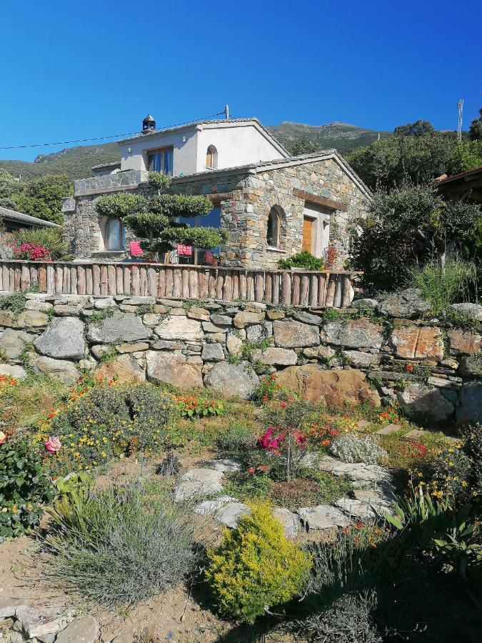 Logement De Charme Avec Piscine Privative Pino Экстерьер фото