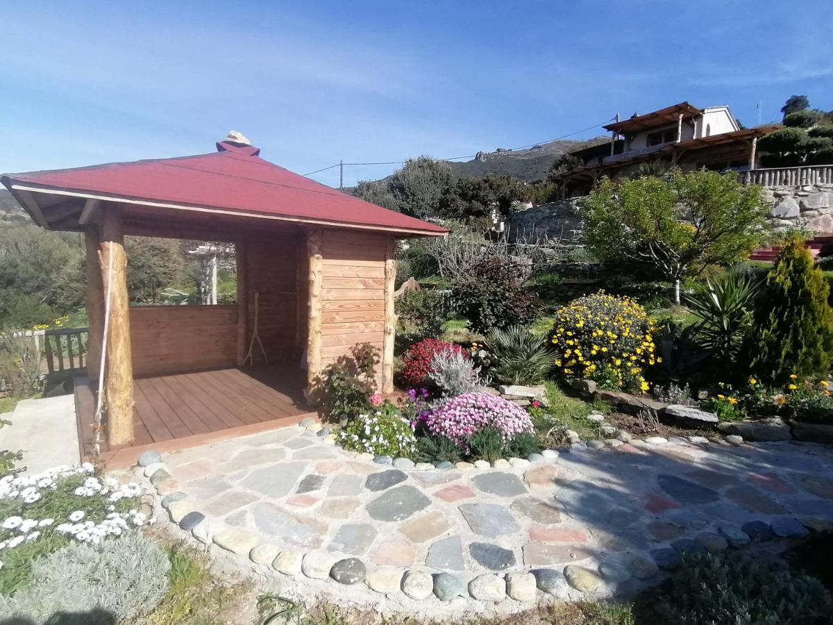 Logement De Charme Avec Piscine Privative Pino Экстерьер фото